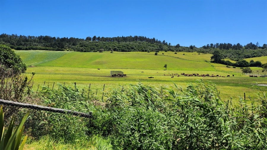 0 Bedroom Property for Sale in Agricultural Holding 318 Western Cape